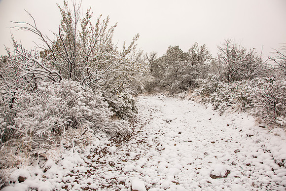 Big Bend National Park Snow KAC0709