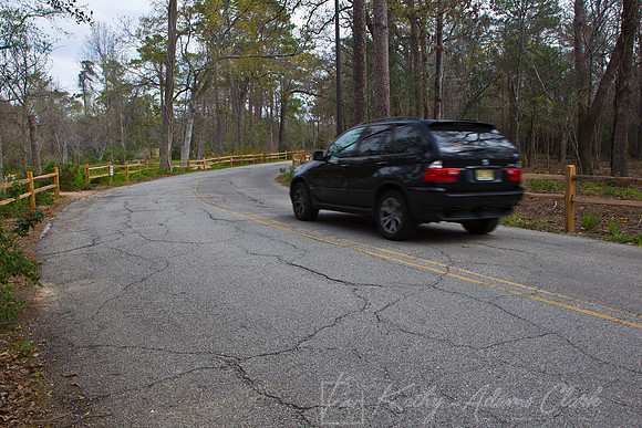 Houston Arboretum KAC0792