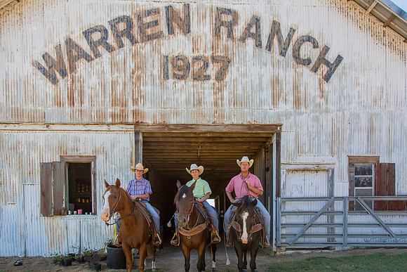 Cowboys on Horses KAC7935