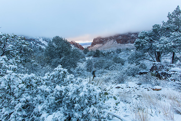 Big Bend National Park Snow KAC0644
