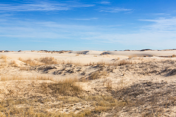 2 Monahans Sandhills State Park KAC5309