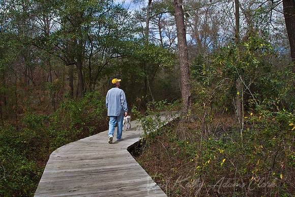 Houston Arboretum KAC0781