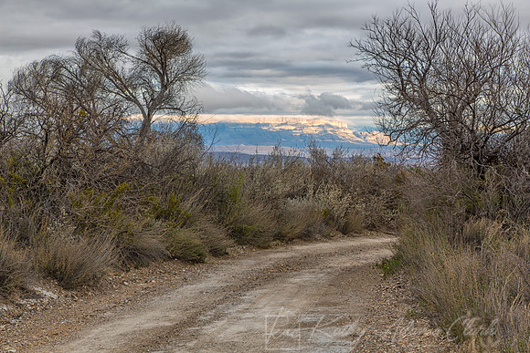 Big Bend National Park KAC0591nik