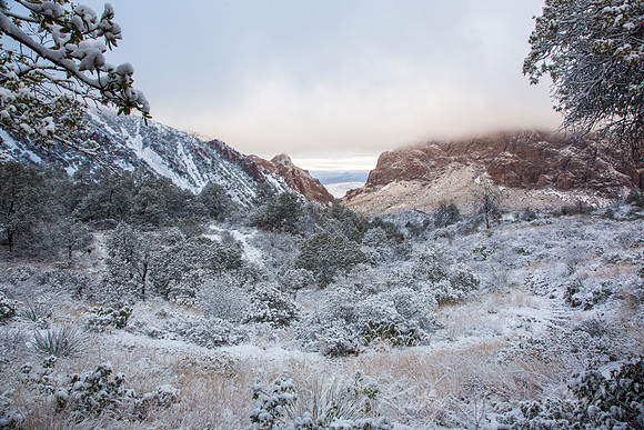 Big Bend National Park Snow KAC0669