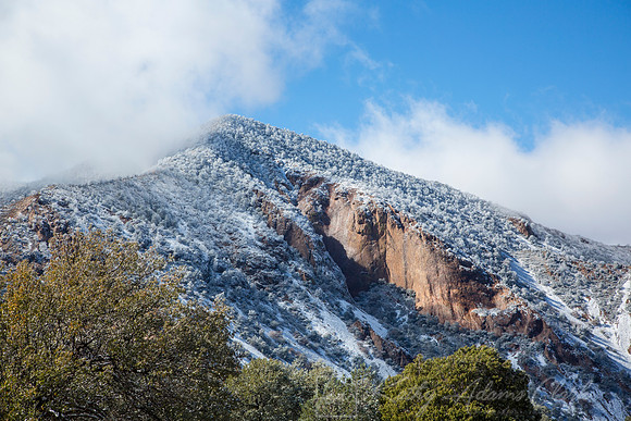 Big Bend National Park Snow KAC0100