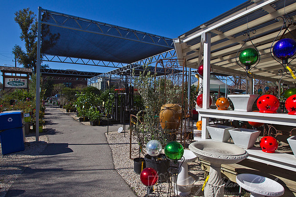 Buchanan Nursery KAC7168