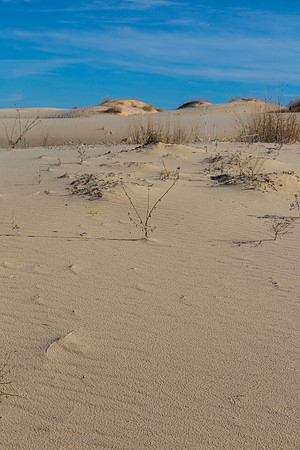 2 Monahans Sandhills State Park KAC5305
