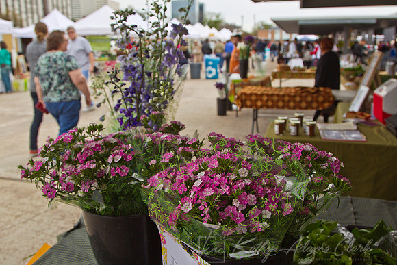 Farmers Market KAC0568