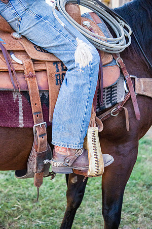 In the Saddle KAC8350