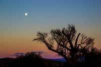 Full Moon Rising Over Cottonwood KAC9253