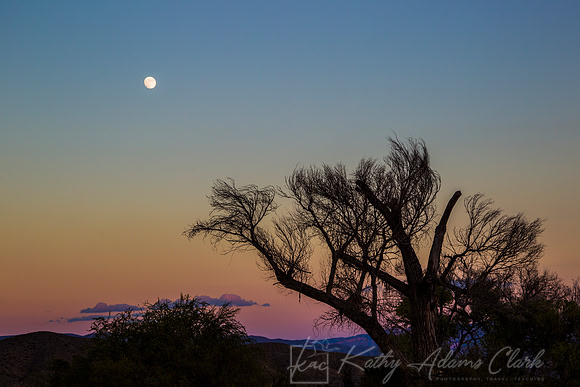 Full Moon Rising Over Cottonwood KAC9253