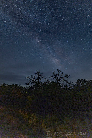 Milky Way Stars KAC1142