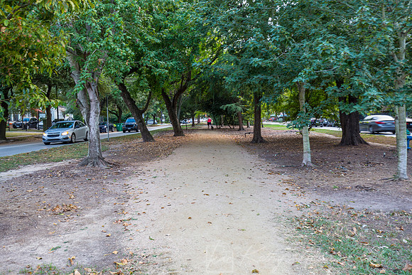Heights Boulevard KAC4688