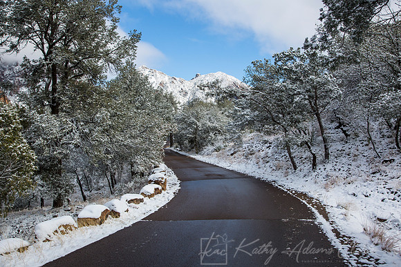 Big Bend National Park Snow KAC0045