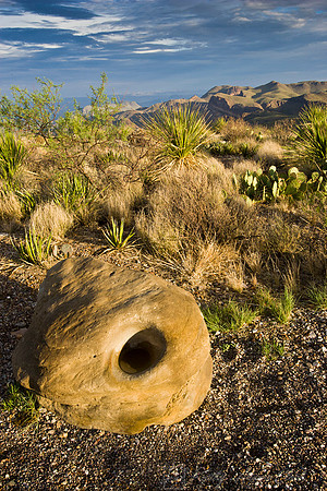 Sotol Vista KAC080603