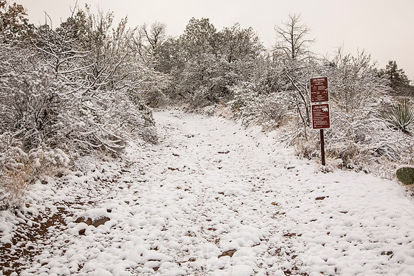 Big Bend National Park Snow KAC0699
