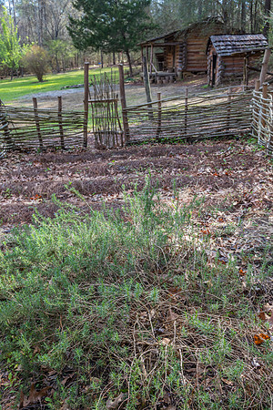 Jesse H Jones Nature Park KAC0938
