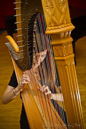Harp Player KAC9748