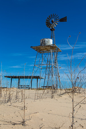 2 Monahans Sandhills State Park KAC5304