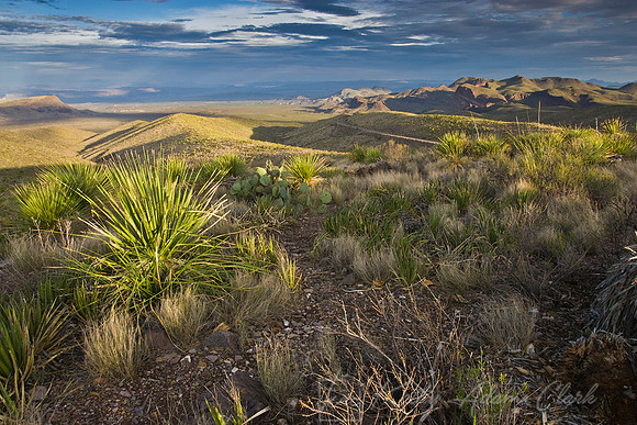 Sotol Vista KAC080608