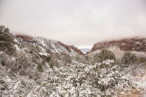 Big Bend National Park Snow KAC0705