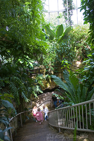Cockrell Butterfly Center Interior KAC11055