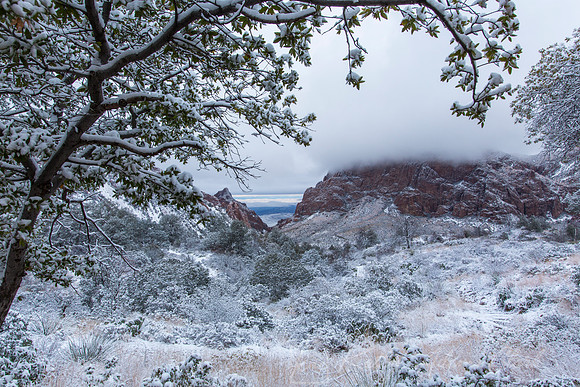 Big Bend National Park Snow KAC0619