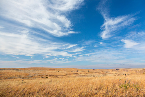 6 Texas Panhandle KAC5041