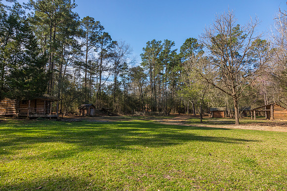 Jesse H Jones Nature Park KAC0969