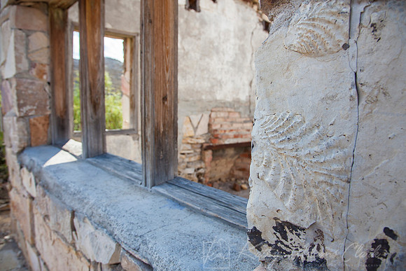 Langford House Fossil KAC8403